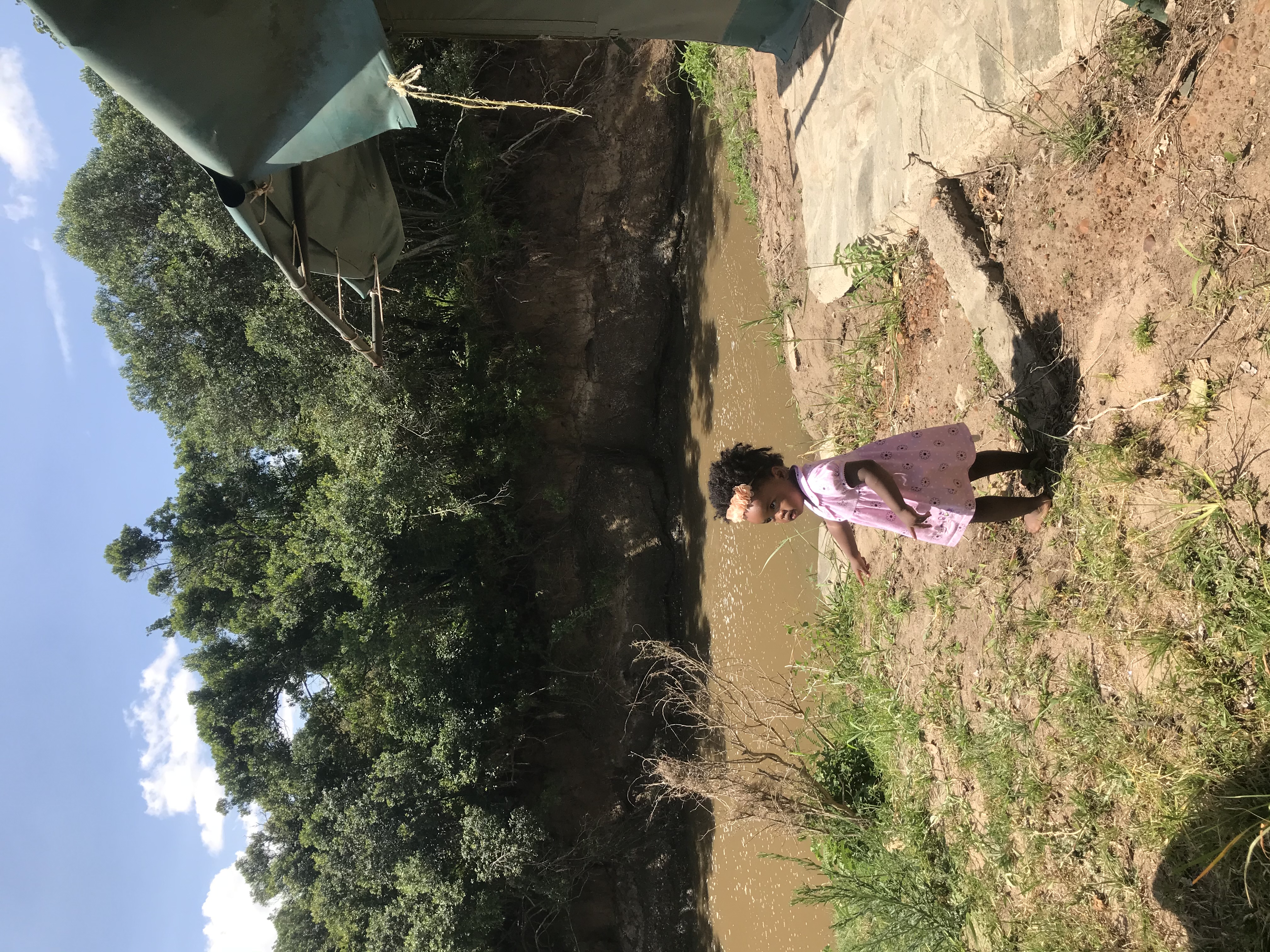 Luna at diplomacy table